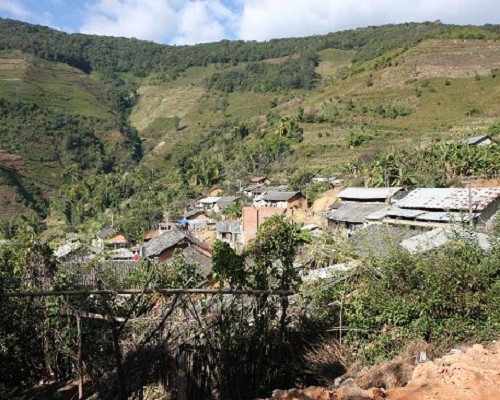 新年勐库茶山行——冰岛古茶园